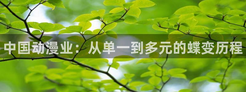 开丰娱乐168