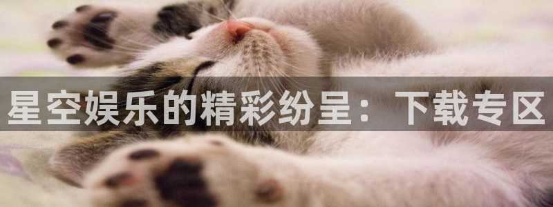 开丰娱乐168