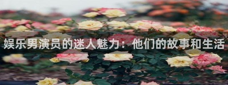 开丰娱乐地址