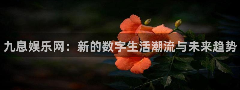 开丰娱乐