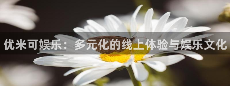 开丰娱乐168