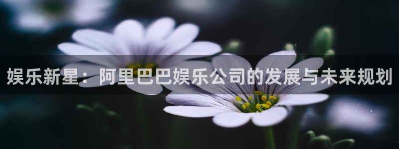 开丰娱乐地址